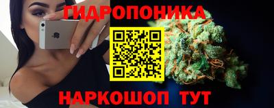 шишки Бузулук