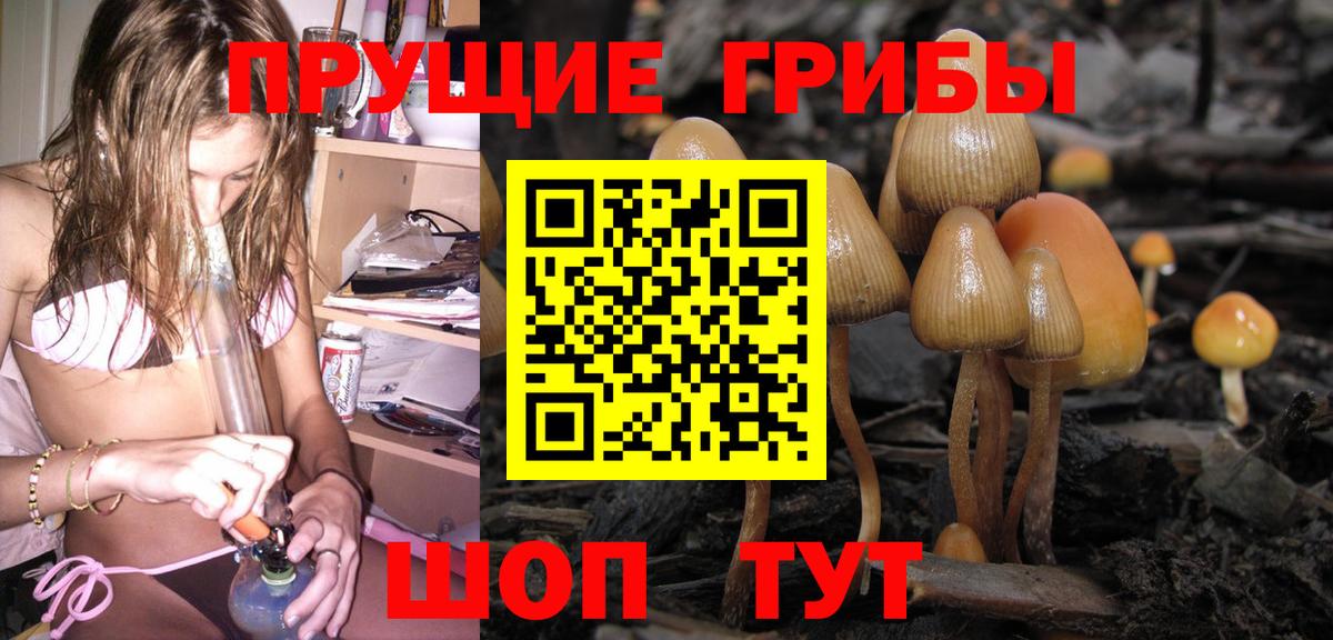 Псилоцибиновые грибы Cubensis Людиново